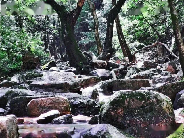 内蒙自由行导游私人导游,呼伦贝尔旅游管家哪个好-看完明白